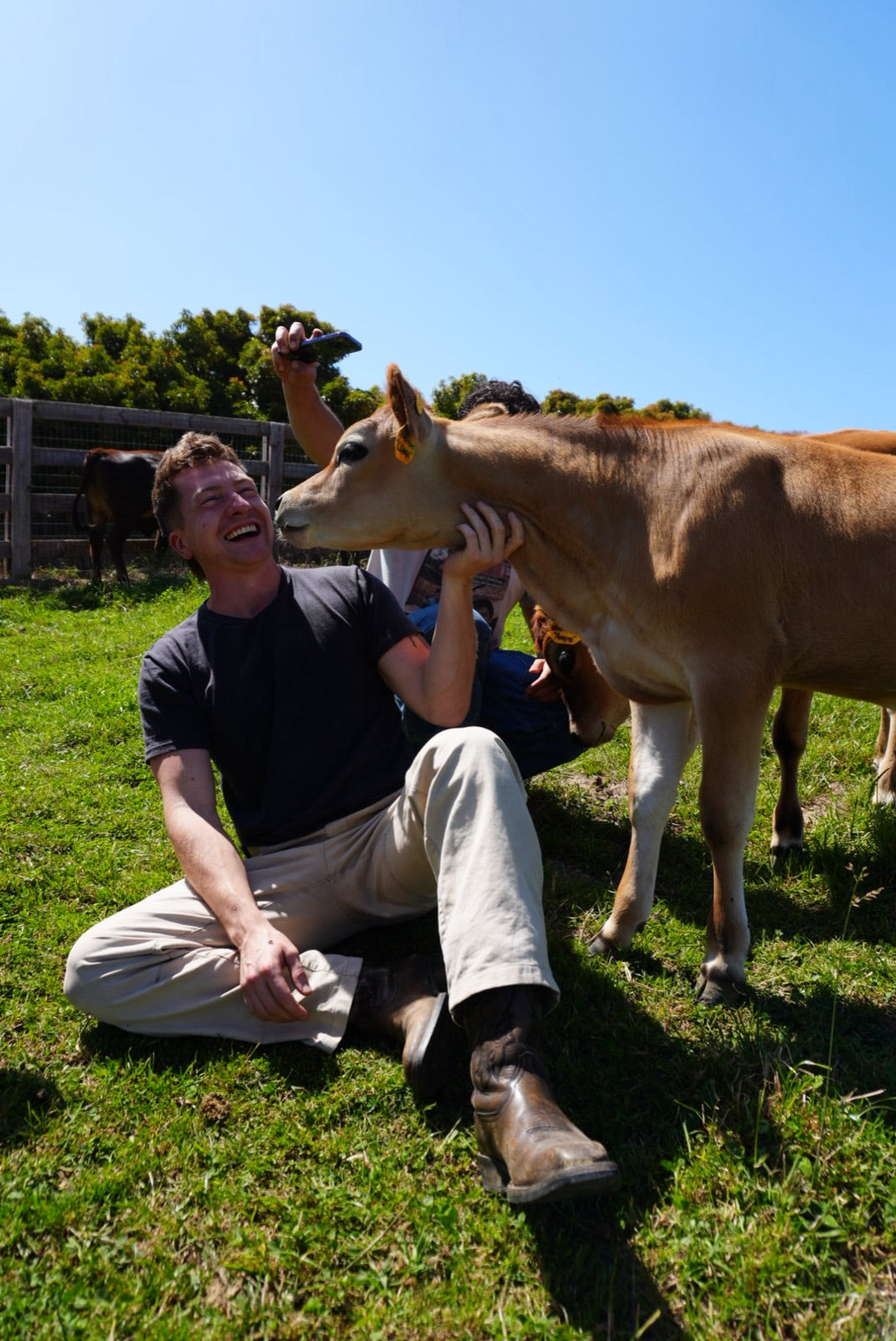 Kaleb, Field co-founder, with a Jersey cow on a regenerative dairy farm